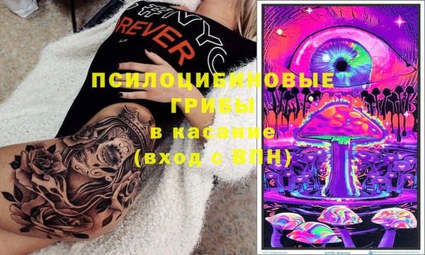 мдма Снежногорск