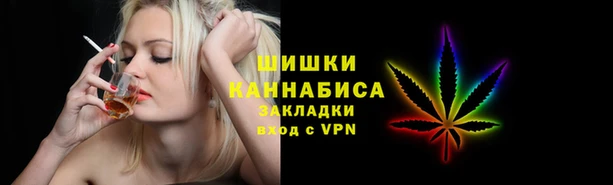 молекула духа Вязьма