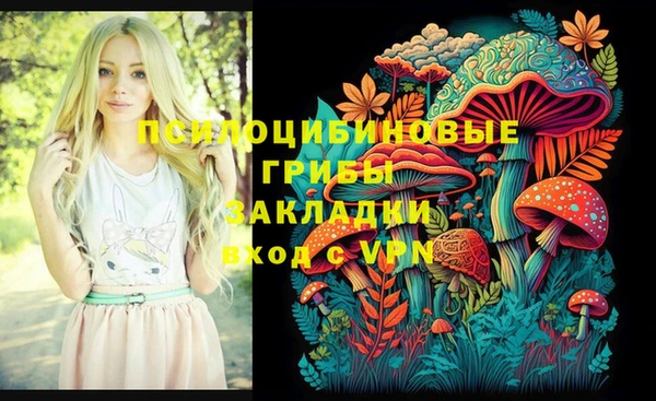 молекула духа Вязьма