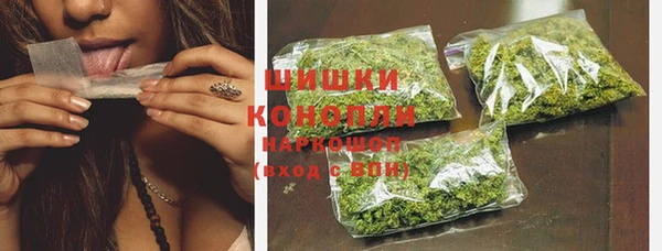молекула духа Вязьма