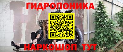 амф Шебекино