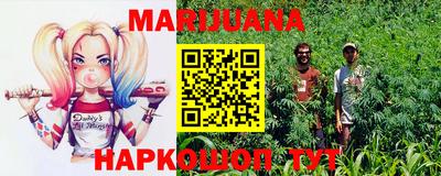 прущие грибы Шелехов