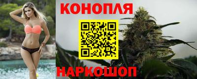 амф Шебекино