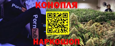 шишки Шахты