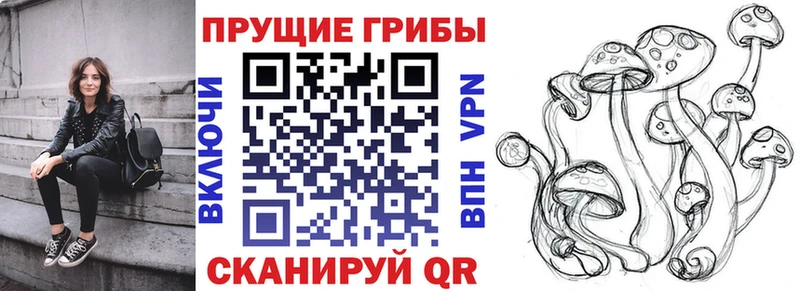 Псилоцибиновые грибы мухоморы Рыбинск